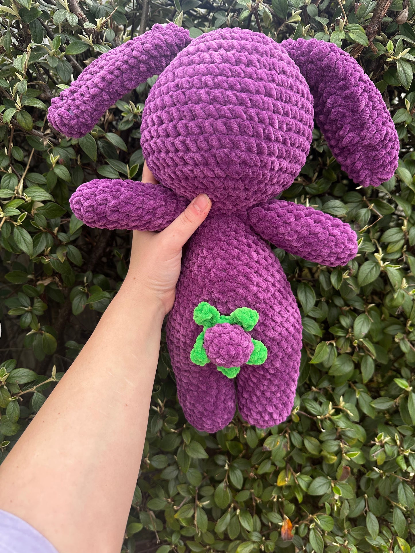 Mary the blackberry Bunny