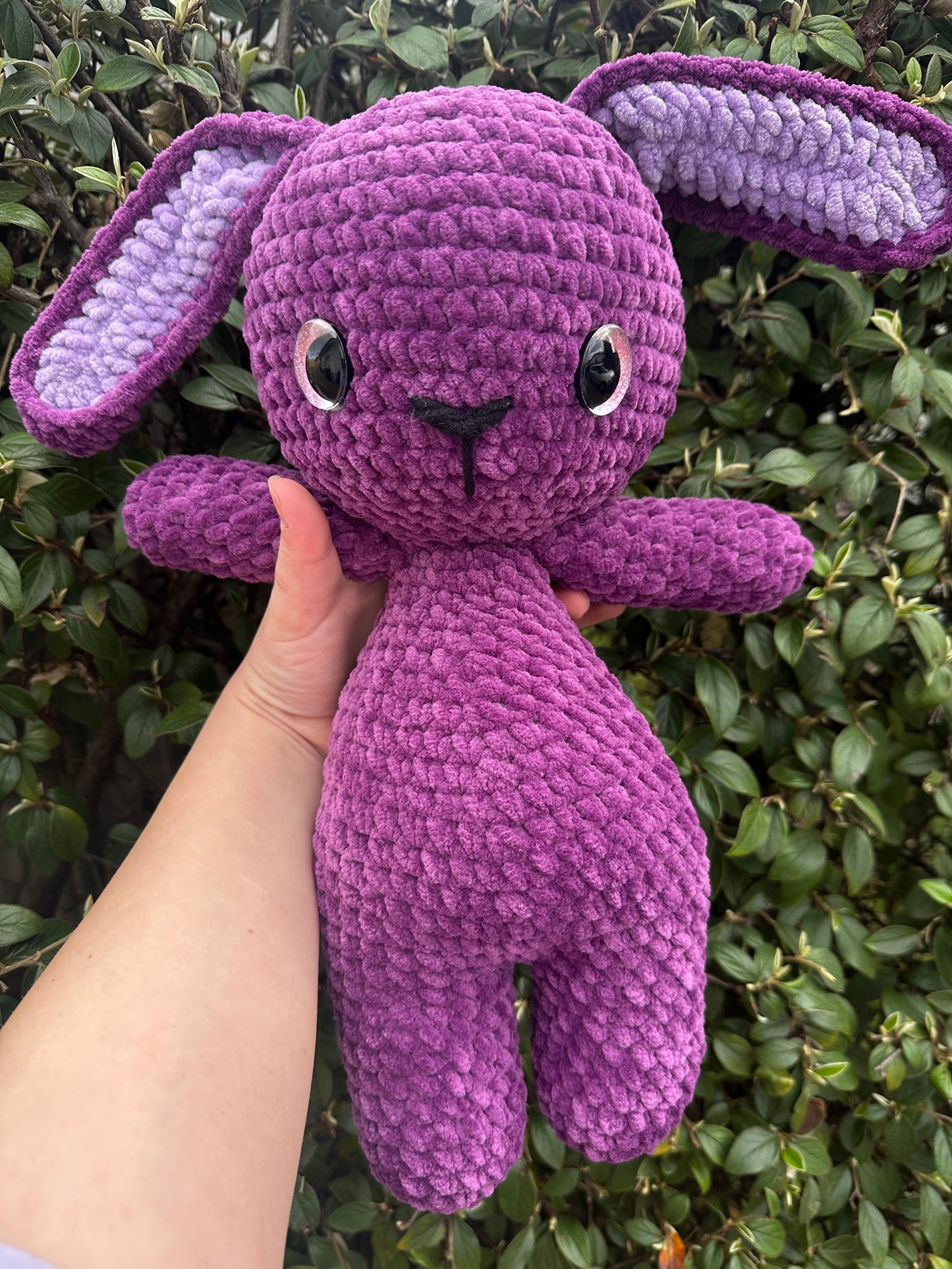 Mary the blackberry Bunny